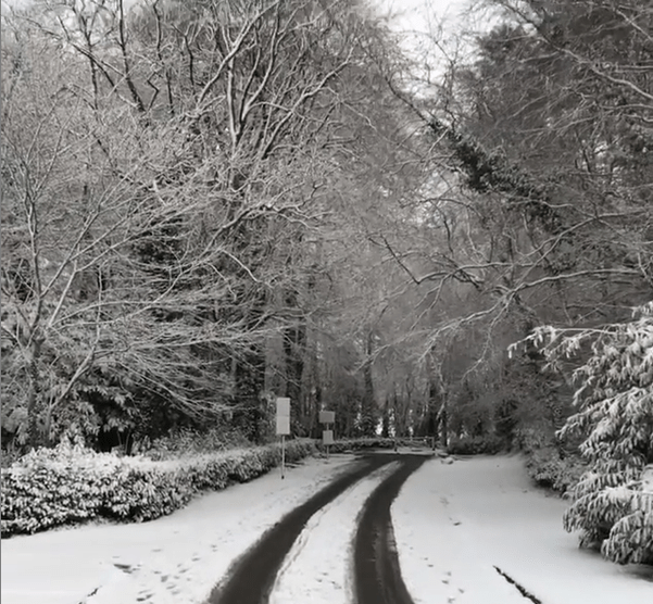 We Start 8 Days of Deep Dive Training